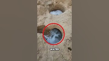 What Happens If You Dig Holes On The Beach Like This?