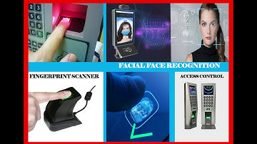 Best Biometric Time Attendance System | Why it is important for your business or company