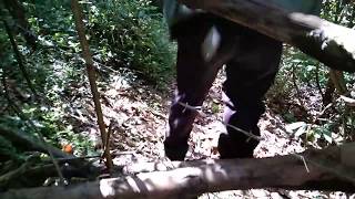 Xov xwm ntxoov Tsua Lis tua poj ntxoog xiengkhouang,Laos daim 1