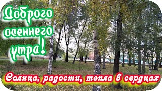 Доброго Осеннего Утра! 🌸Удачного Осеннего Дня! 🌸Солнца, Радости, Тепла В Сердцах! 🌸Good Morning!❤️