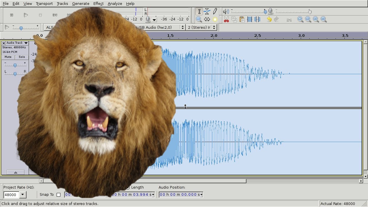 Creating Cool Lion Roar Sound Effects : DIY Audacity Animal Voice 