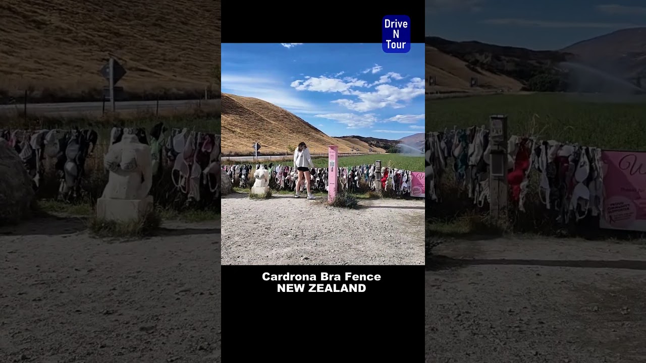A short stop at Cardrona Bra Fence "Bradrona" in New Zealand