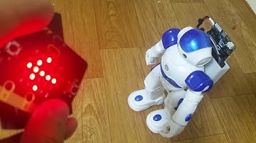 Rc robot video