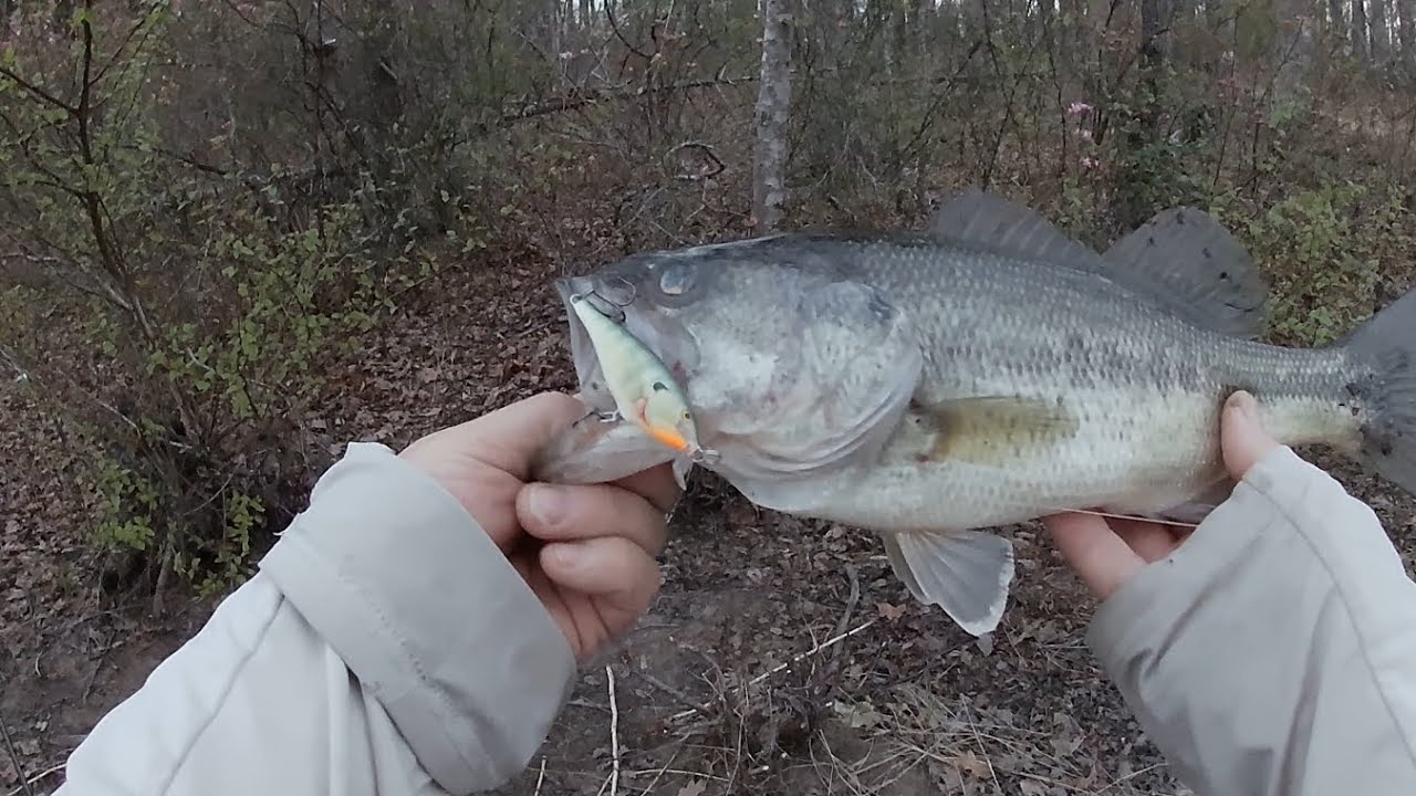 Effective Lures for Spring Largemouth Bass
