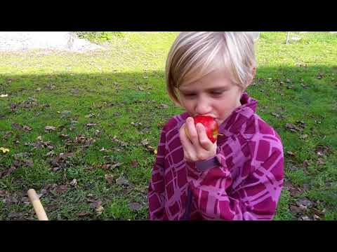 Video: Charlotte med æbler i en langsom komfur