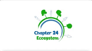 Chapter 24: Ecosystems - The Dictionary of Climate Crisis