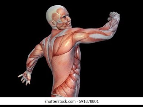 Rus qoramagiz Rita bilan porno