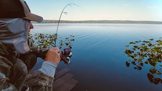 видео: КОГДА РЕШАЕТ КАЖДАЯ РЫБА. ЧЕМПИОНАТ ПО СПИННИНГУ С БЕРЕГА картинка: КОГДА РЕШАЕТ КАЖДАЯ РЫБА. ЧЕМПИОНАТ ПО СПИННИНГУ С БЕРЕГА