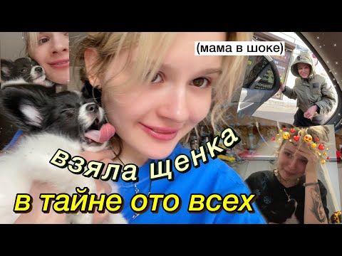 Я ЗАВЕЛА СОБАКУ!