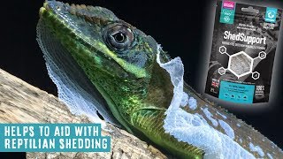 Prevent Poor Shedding From The Inside Out | Shed Support by Arcadia Reptile