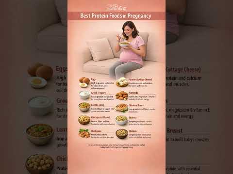 Best Protein Foods for Pregnant Women | Protein In Pregnancy