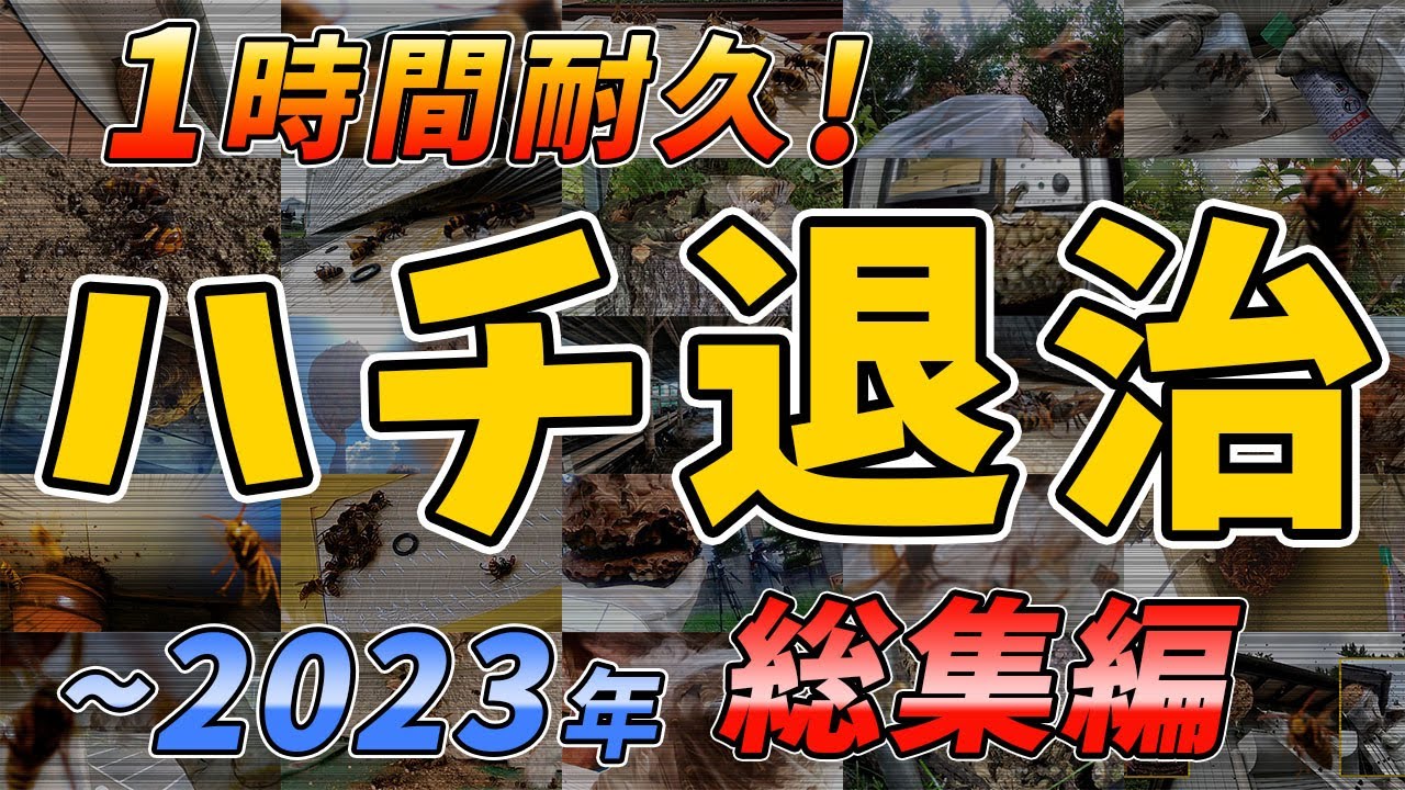 【スズメバチ】2023年総集編★全部見せます！１時間耐久‼スズメバチ駆除【終末殺蜂家】