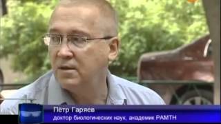 Код мужчины  Зачатие вне закона 3 от 5 2009