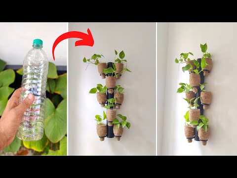 Video: Hengende plantekurver - Innendørs planter i hengende plantekasser