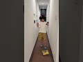What should I do?🤣Part9 #shorts #レオ