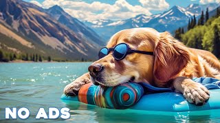 12 Hours Dog Music 🎵 Relaxing Music For Dogs With Anxiety🐶 Separation Anxiety Relief music💖Dog Calm