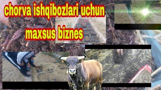 Qashqadaryo viloyati Koson tumani Poʻlati shaharchasi 97 313 58 08 # 88 867 48 00