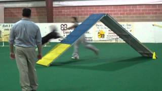 Annie Wanzyk And Raven