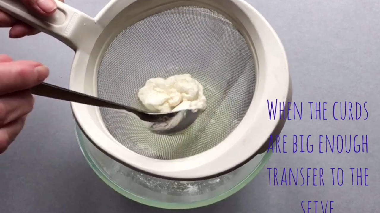 Saturday Makers: How to make plastic out of milk