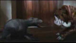 Water Horse: Legend of the Deep [Blu-ray] Trailer