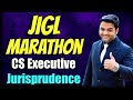 JIGL Marathon for Dec 2020 Exam | CS Executive JIGL and ILGL Revision