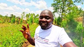 Lugari Two Bedroom House has Costed 1.2M upto this stage