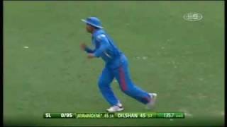Sehwag takes a spectacular catch to dismiss Jayawardene against Sri Lanka