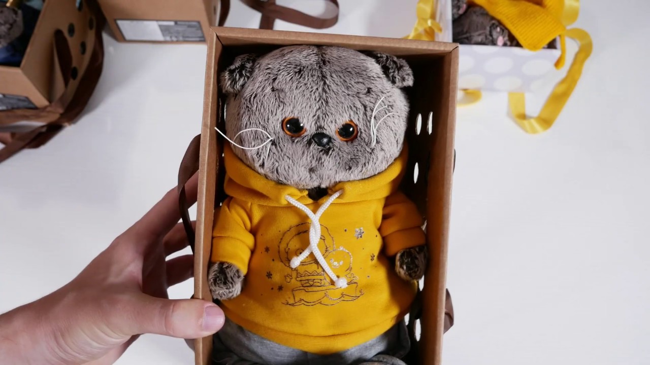 Кот басик в машину Кот басик в машину