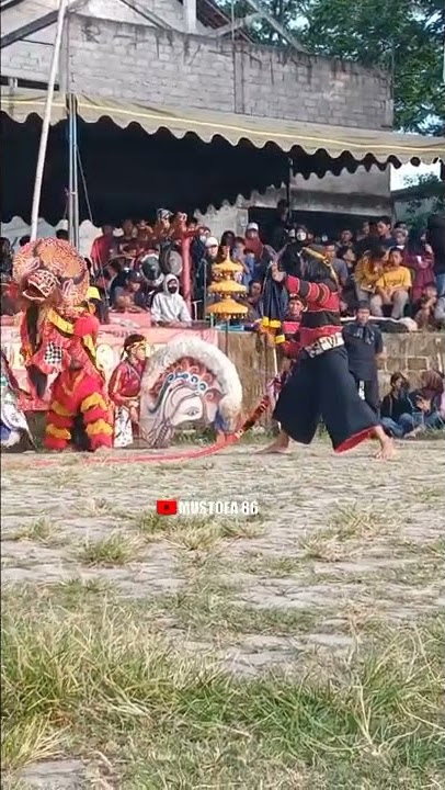 Solah singo barong Turonggo Mayang djambe#shorts
