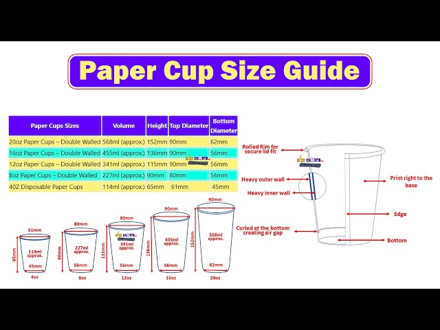 Standard paper cup sizes - Bruinsma United