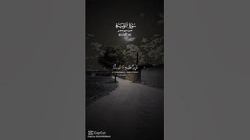 تلاوه للشيخ مشارى راشد العفاسي من سوره التوبه 🖤🖤