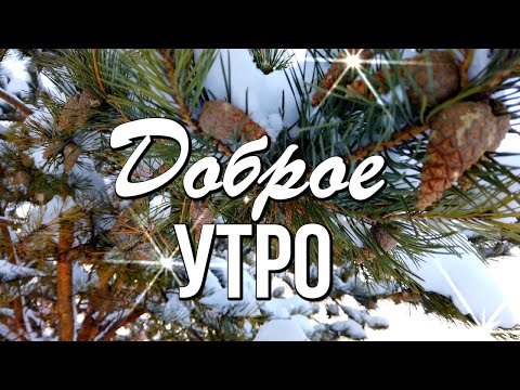 Доброе утро! Добро пожаловать в дивное время зимних чудес