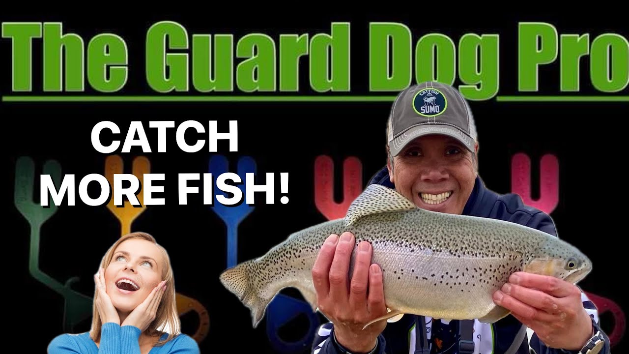 MONSTER 23 Rainbow Trout! Catch more fish with the GUARD DOG PRO 2!  #fishing #rainbowtrout 