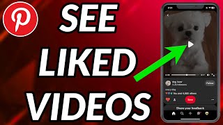 How To See Your Liked Videos On Pinterest