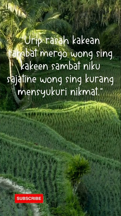 Kata-Kata Quotes Lucu dalam Bahasa Jawa, Bijak dan Bikin Ketawa Ngakak #shorts #youtubeshortsviral