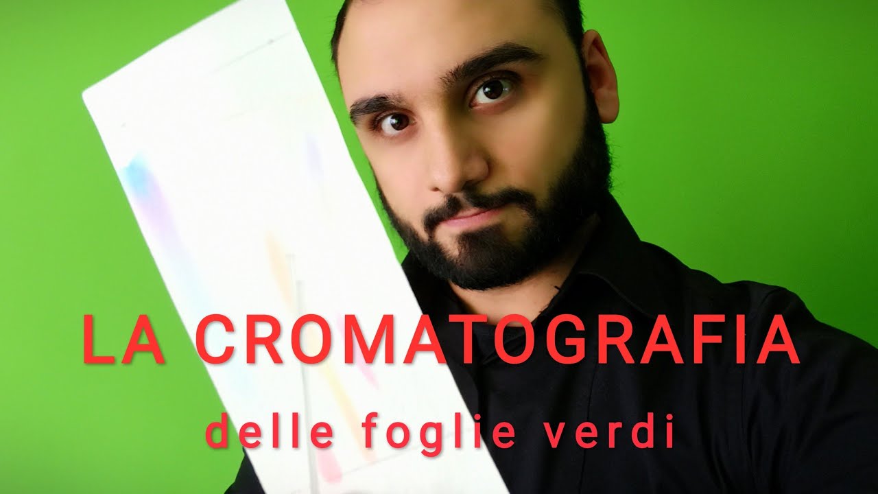 CROMATOGRAFIA | Come trattiamo le foglie?