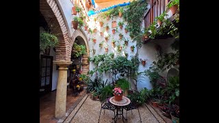 Cordoba - 4K Walk - The Most Colourful Patios with Beautiful Flowers