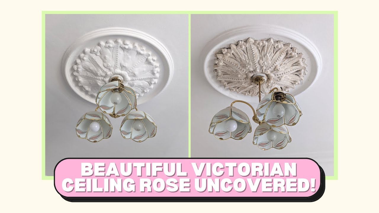 How To Re A Plaster Ceiling Rose