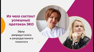 картинка: Из чего состоит успешный протокол ЭКО