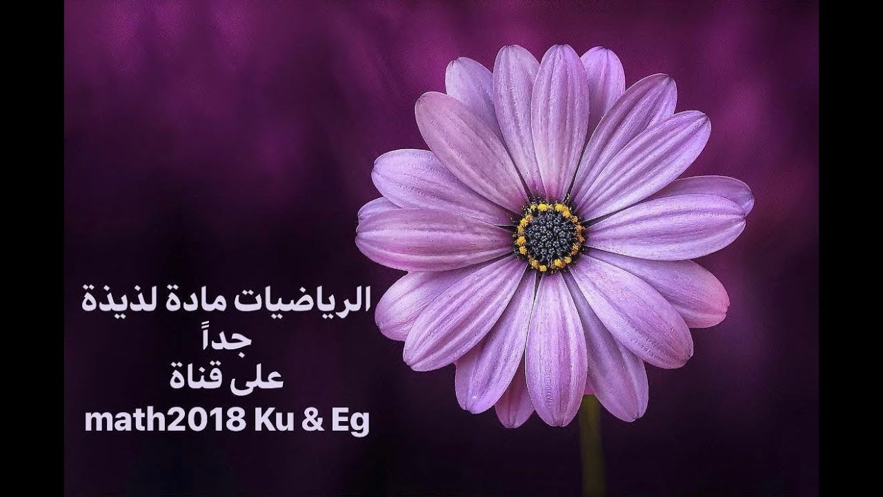 (١-٢) الأعداد الحقيقية (الجزء الأول) - رياضيات صف تاسع - المنهج الوطني الكويتي