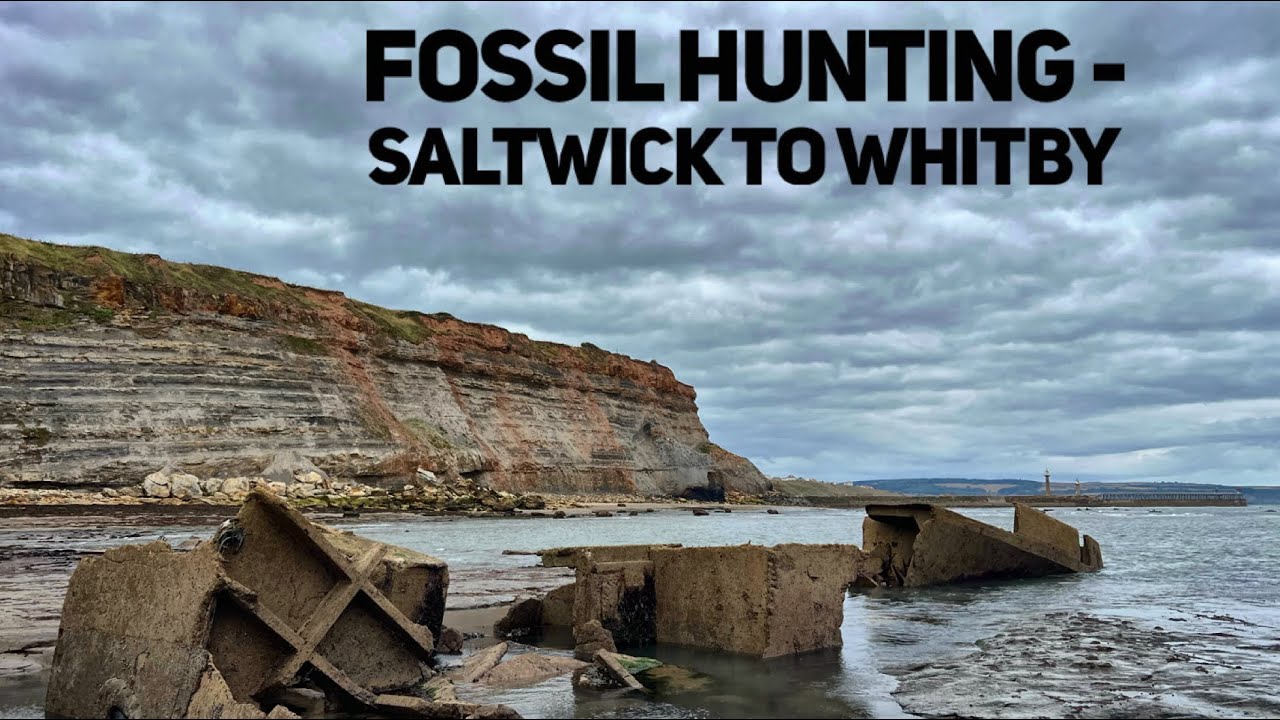 fossil-hunting-adventure-from-saltwick-to-whitby-join-me-on-my-hunt
