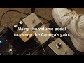 Strymon CANOGA Crews LED/VOX AC30HWR2