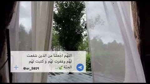 قران كريم قصير🍃🍃سالم الرويلي مقاطع انستقرام