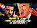 «Мир или война без нас»: Трамп заставляет Зеленского выбирать