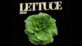 Lettuce at Electric City 5-21-2025