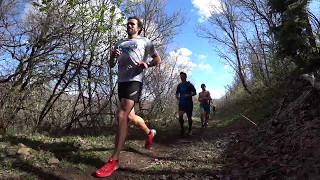 Pcrc Group Run With Anna Frost