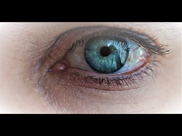 NNP Bilberry, a great eye supplement - Are you concerned about your eyes?