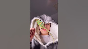 Kyle Thomas 💙 HE PINCHED MY EYE LID #kylethomas #shorts