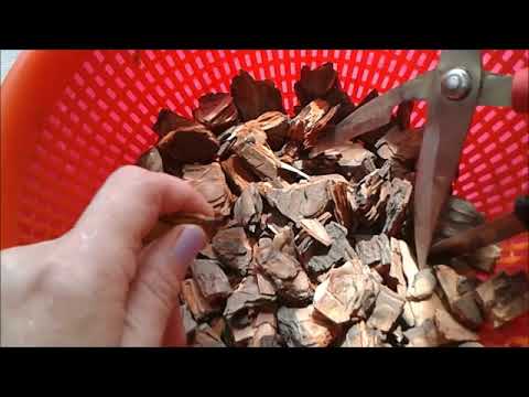 ორქიდეომანია # გრუნტის, სუბსტრატის (ფიჭვის ქერქის) მომზადება