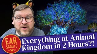 Can We Ride EVERYTHING During Animal Kingdom's New Extended Evening Hours at Walt Disney World?